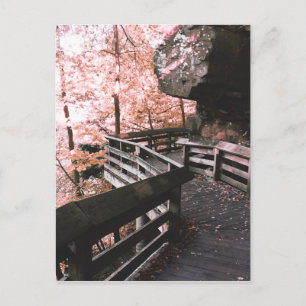 brandywine boardwalk postcard