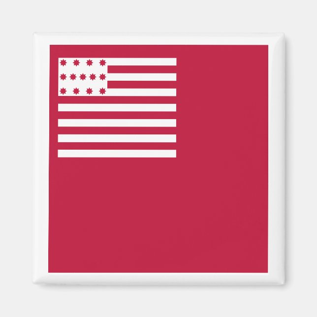Brandywine flag magnet (Front)