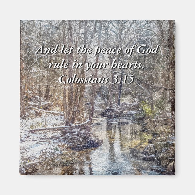 Branson Fall Creek Winter Snow Painterly Magnet (Front)