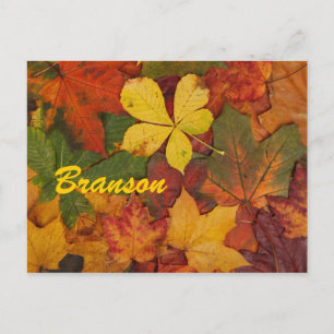 Branson Missouri Autumn Leaves Postcard