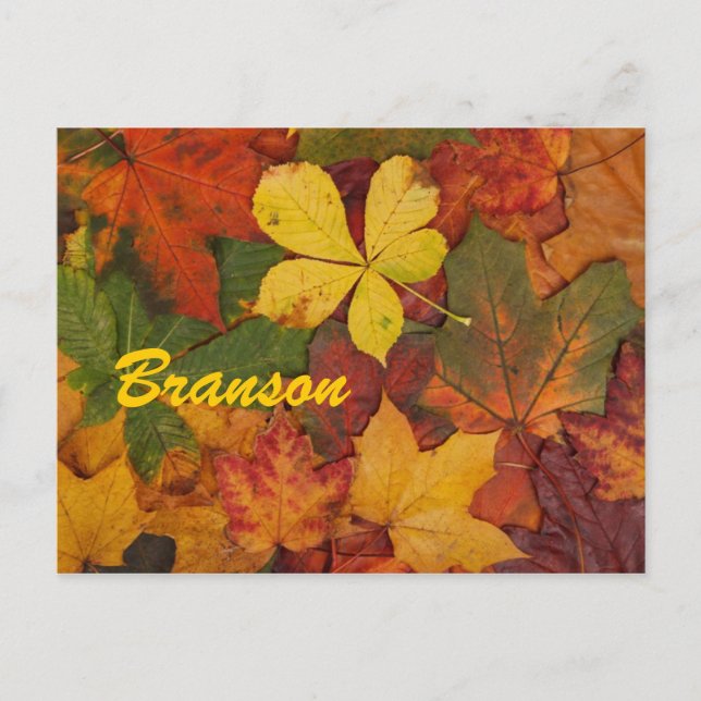 Branson Missouri Autumn Leaves Postcard (Front)