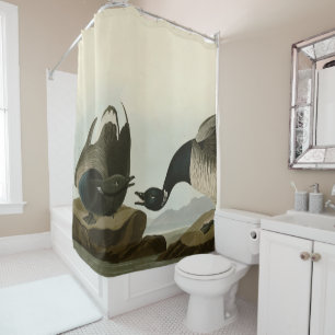 Brant Goose (Brant) from Audubon Birds of America Shower Curtain