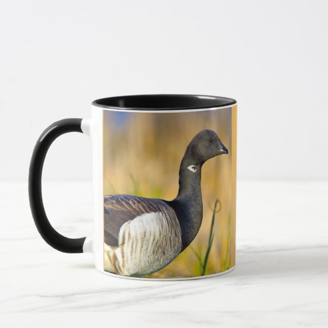 Brant Goose  Mug (Left)