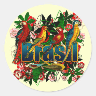 Brasil Brazil Tropical floral rainforest birds art Classic Round Sticker