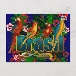 Brasil floral tropical Birds Postcard