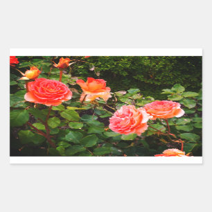 Brass Band Rose #1 Rectangular Stickers