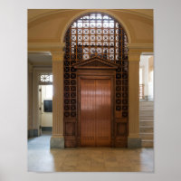 Brass Cage Elevator
