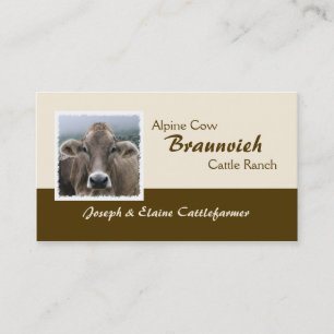 Braunvieh alpine dairy cow business card