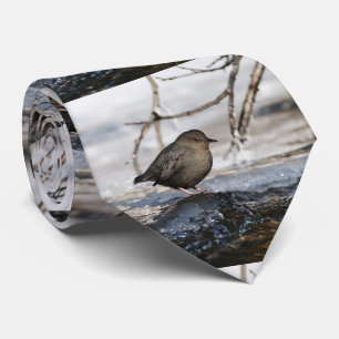 Brave American Dipper Tie