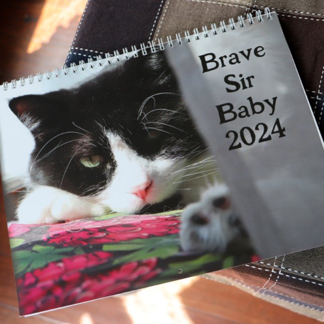 Brave Sir Baby Calendar (Creator Uploaded)