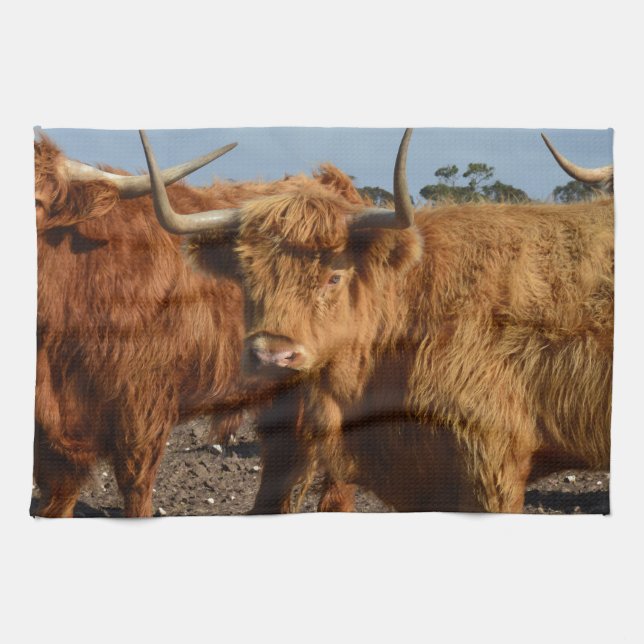 Brawny Beauty: The Majestic Big Brown Highland Cow Tea Towel (Horizontal)