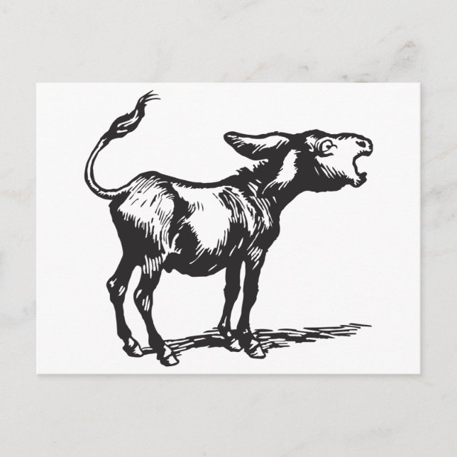 braying donkey postcard (Front)