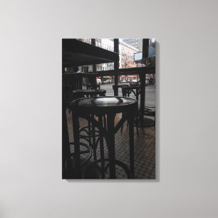 Brazen Fox Canvas Print