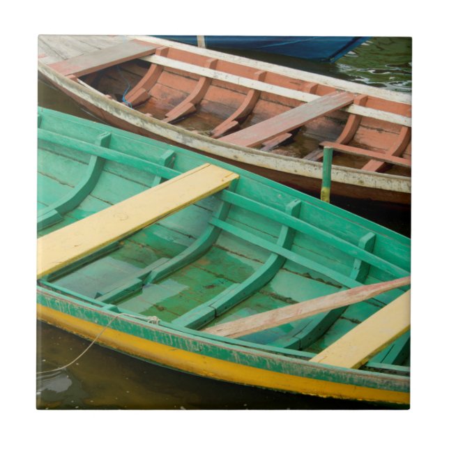 Brazil, Amazon, Alter Do Chao 2 Tile (Front)