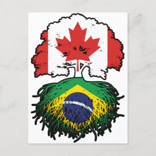 Brazil Brazilian Canadian Canada Tree Roots Flag Postcard