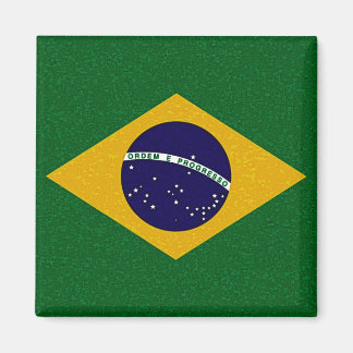 BRAZIL FLAG Magnet
