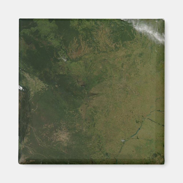 Brazil Magnet (Front)