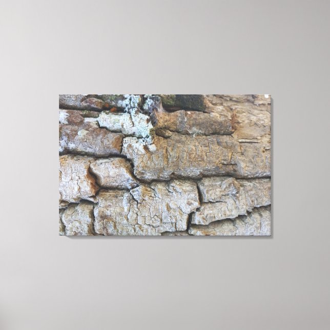 BRAZIL NATURE CANVAS PRINT (Front)