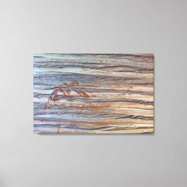 BRAZIL NATURE Screen Printing Canvas Print (Front)