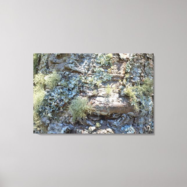 BRAZIL NATURE Screen Printing Canvas Print (Front)