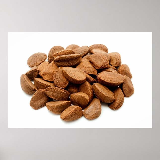 Brazil nut seeds poster (Front)