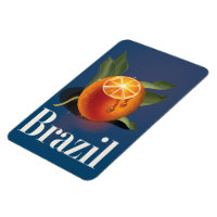 Brazil Oranges travel poster