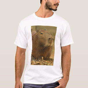 Brazil, Pantanal, Matto Grosso. Capybara T-Shirt