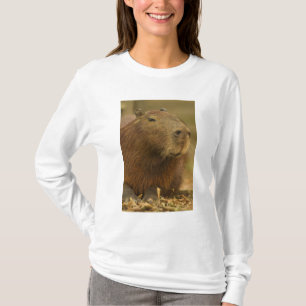 Brazil, Pantanal, Matto Grosso. Capybara T-Shirt