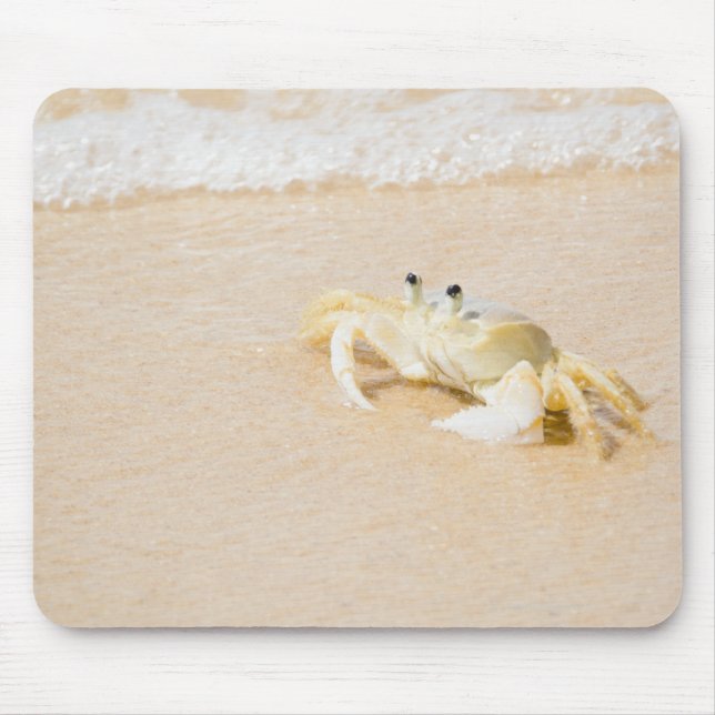 Brazil, Rio de Janeiro, Buzios, Crab on Mouse Mat (Front)