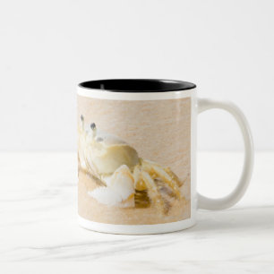 Brazil, Rio de Janeiro, Buzios, Crab on Two-Tone Coffee Mug