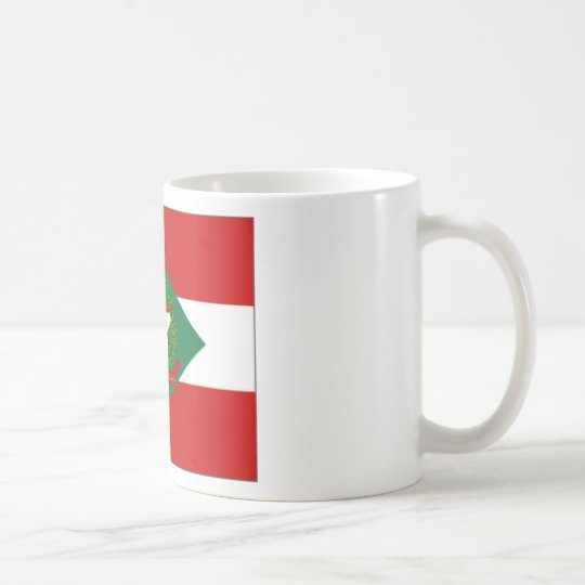 Brazil Santa Catarina Flag Coffee Mug