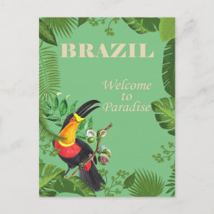 Brazil Toucan Vintage Travel Postcard