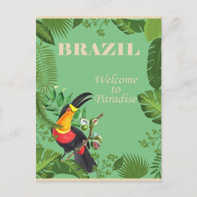 Brazil Tropical Forest Toucan Vintage Postcard (Front)