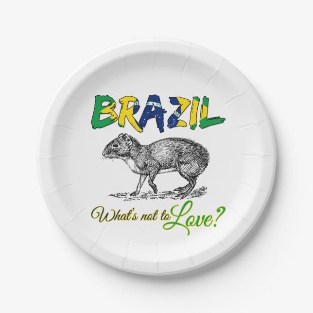 Brazil - What's Not to Love Brasil Quote Paper Plate (Front)