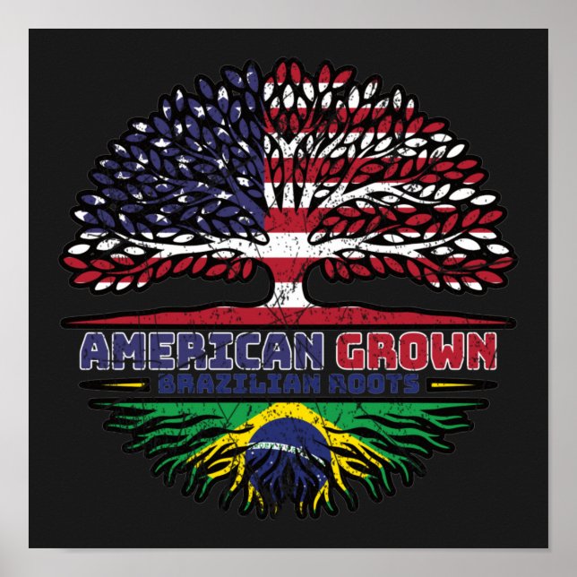 Brazilian Brazil US American USA United States Poster (Front)
