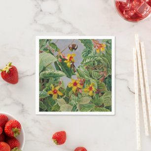 Brazilian Climbing Shrub and Humming Birds Napkin