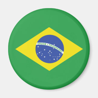 Brazilian Flag Magnet