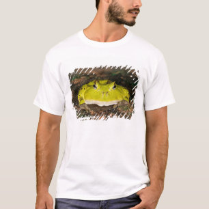 Brazilian Horn Frog, Ceratophrys cornuta, 2 T-Shirt