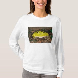 Brazilian Horn Frog, Ceratophrys cornuta, 2 T-Shirt
