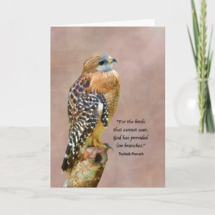 Brazilian Management, Get Well, Spiritual, Hawk on Card