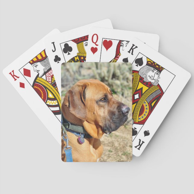 Brazilian Mastiff Playing Cards (Back)