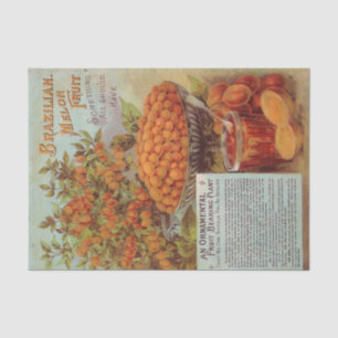 Brazilian Melon Fruit Vintage Seed Catalogue Tissue Paper