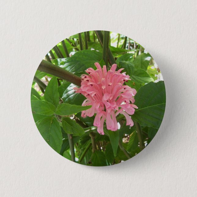 Brazilian plume flower 6 cm round badge (Front)