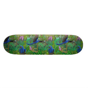 Brazilian Rainforest Parrots Skateboard