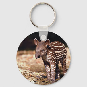 Brazilian Tapir, young calf beside river Key Ring