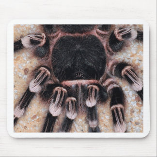 Brazilian White Knee Tarantula Mouse Mat