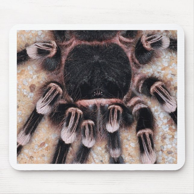 Brazilian White Knee Tarantula Mouse Mat (Front)