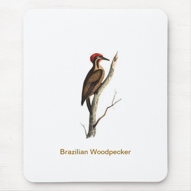 Brazilian Woodpecker bird Mousepad (Front)