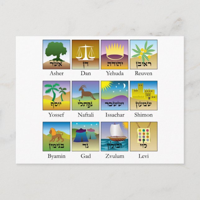 Brazilians of the Twelve Tribes of Israel - Torah Postcard (Front)