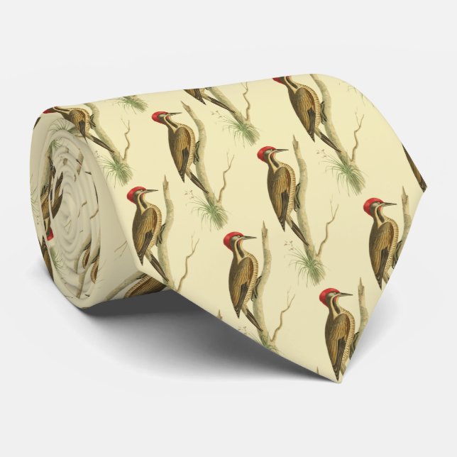 Brazillian Woodpecker Tie (Rolled)